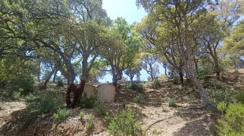 Málaga - Jubrique - 25000m2