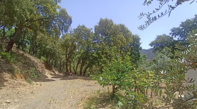 Málaga - Jubrique - 25000m2