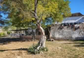 Masia with land for sale in Ronda ref: TR200902 photo