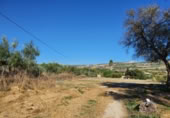 Masia with land for sale in Ronda ref: TR200902 photo