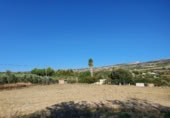 Masia with land for sale in Ronda ref: TR200902 photo