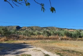 Foto 17