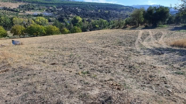 Málaga - Ronda - 20000m2