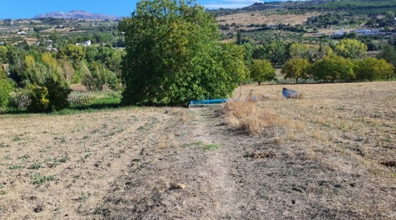Málaga - Ronda - 20000m2