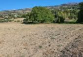 Masia with land for sale in Ronda ref: TR200902 photo