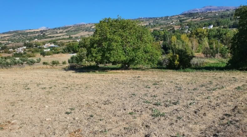 Málaga - Ronda - 20000m2