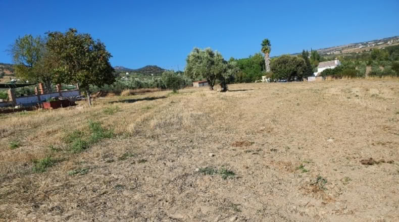 Málaga - Ronda - 20000m2