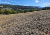 Masia with land for sale in Ronda ref: TR200902 photo