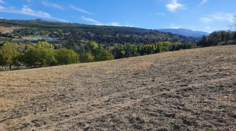 Málaga - Ronda - 20000m2
