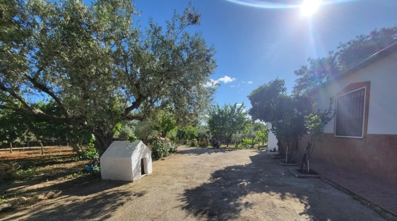 Málaga - Ronda - 5000m2