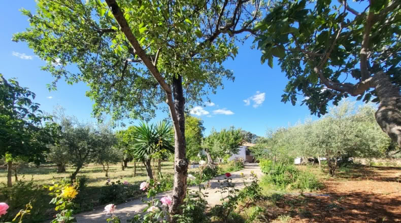 Málaga - Ronda - 5000m2