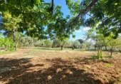 Masia amb terreny en venda a Ronda ref.: TR200936 foto