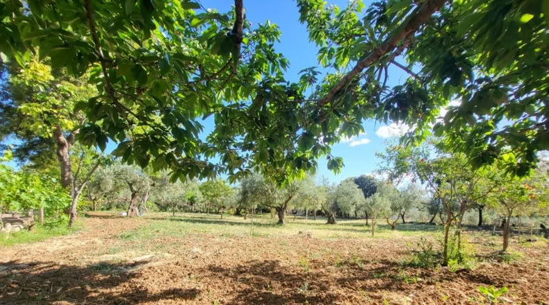 Málaga - Ronda - 5000m2