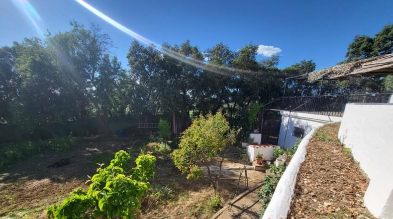 Málaga - Ronda - 5000m2