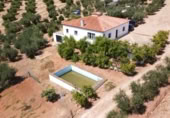 Masia amb terreny en venda a Montellano ref.: TR186827 foto