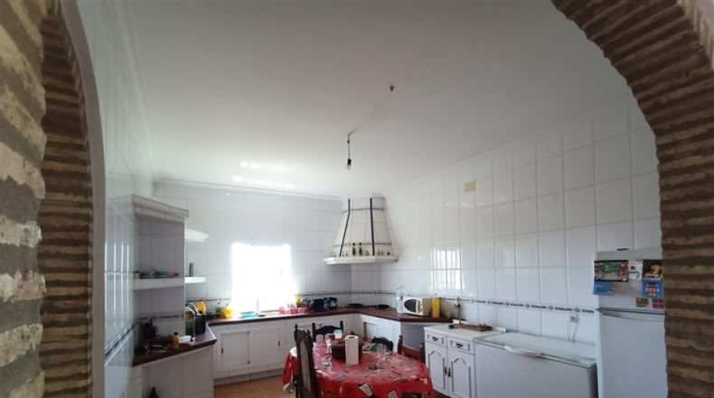 Seville - Montellano - 14000m2