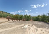 Masia amb terreny en venda a Montellano ref.: TR186827 foto