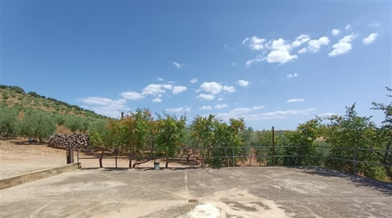 Seville - Montellano - 14000m2