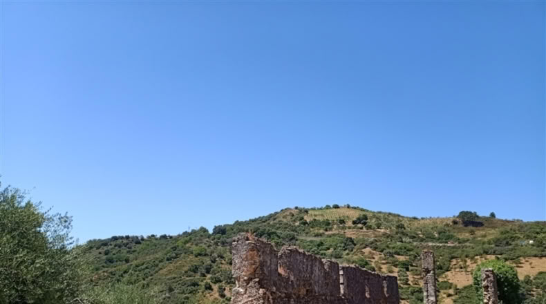 Seville - Montellano - 14000m2