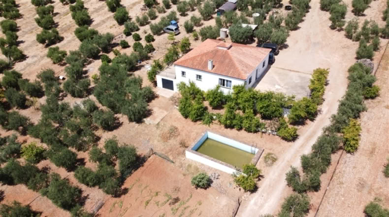 Seville - Montellano - 14000m2
