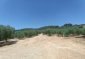 Masia amb terreny en venda a Montellano ref.: TR186827 foto
