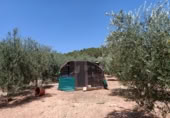 Masia amb terreny en venda a Montellano ref.: TR186827 foto