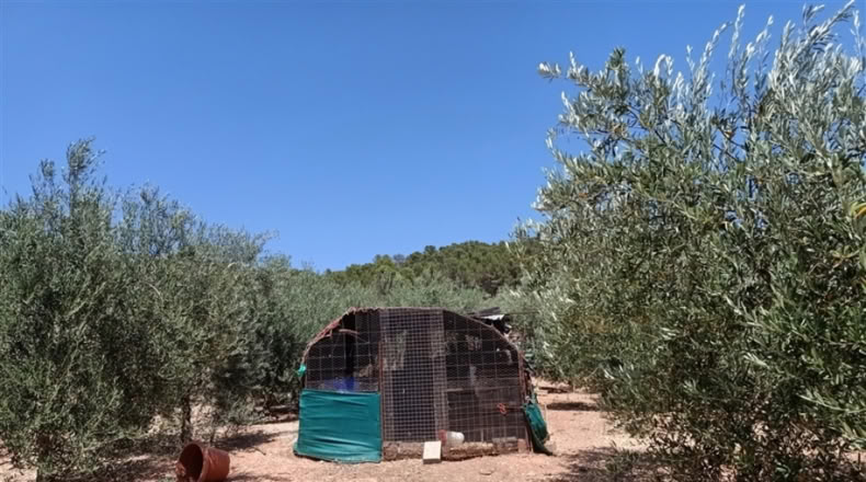 Seville - Montellano - 14000m2