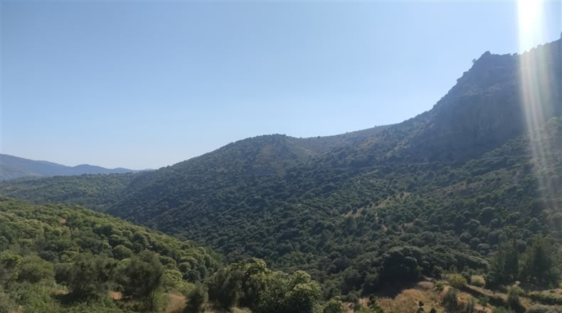 Málaga - Cartajima - 13800m2