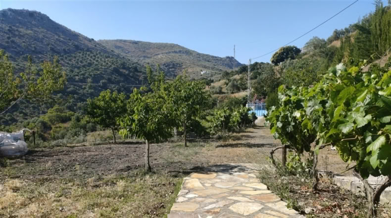 Málaga - Cartajima - 13800m2