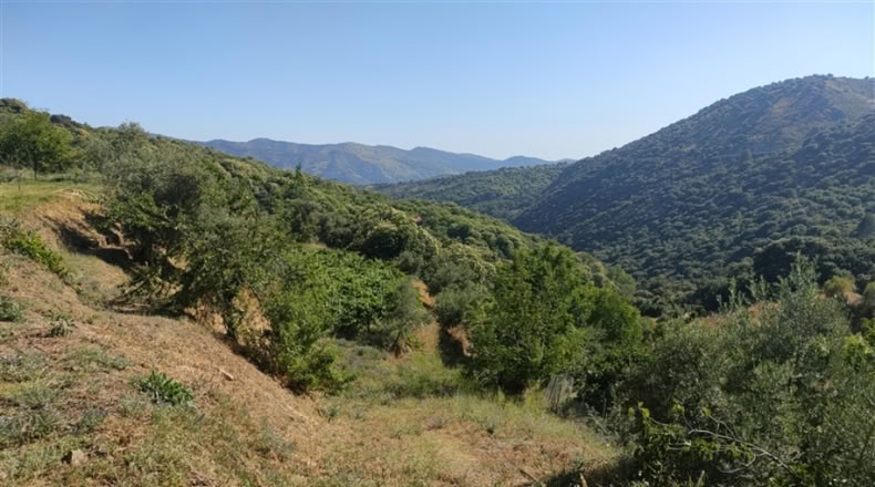 Málaga - Cartajima - 13800m2