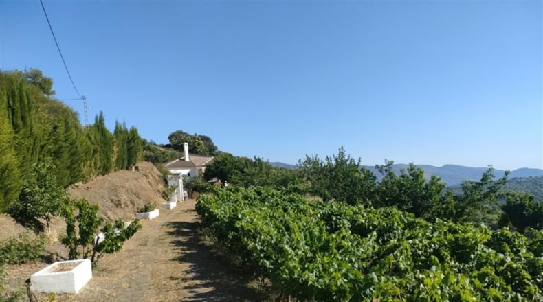 Málaga - Cartajima - 13800m2