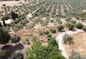 Masía con terreno en venta en Ronda ref: TR109219 foto