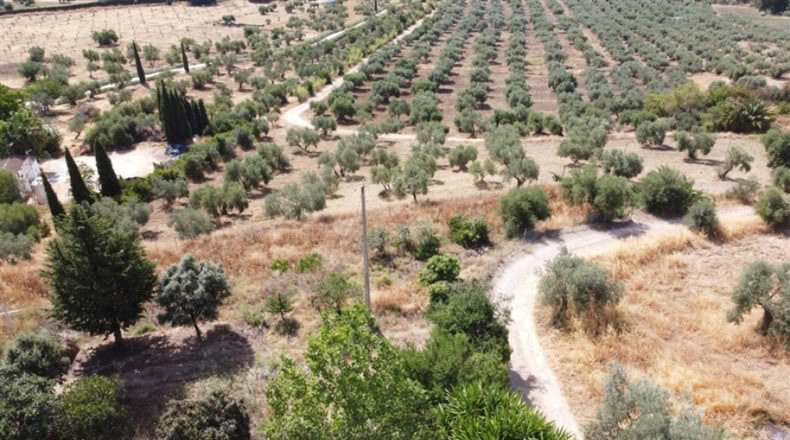 Málaga - Ronda - 7000m2