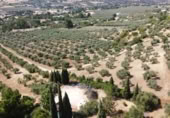 Masía con terreno en venta en Ronda ref: TR109219 foto