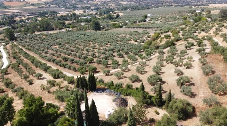 Málaga - Ronda - 7000m2
