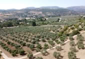 Masía con terreno en venta en Ronda ref: TR109219 foto