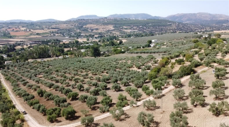Málaga - Ronda - 7000m2