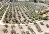 Masía con terreno en venta en Ronda ref: TR109219 foto