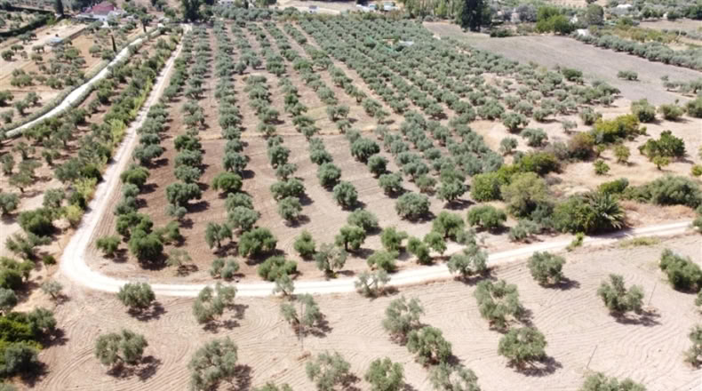 Málaga - Ronda - 7000m2