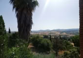 Masía con terreno en venta en Ronda ref: TR109219 foto