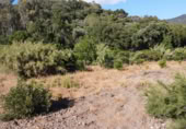 Masía con terreno en venta en Benarrabá ref: TR189065 foto