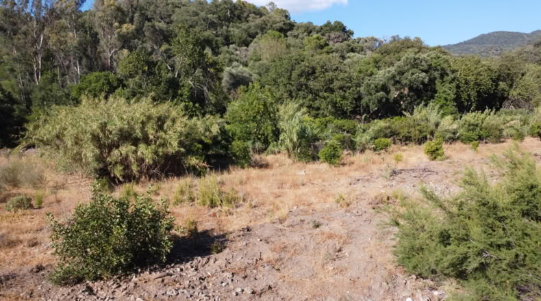 Málaga - Benarrabá - 20000m2