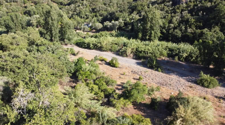 Málaga - Benarrabá - 20000m2
