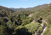 Masía con terreno en venta en Benarrabá ref: TR189065 foto