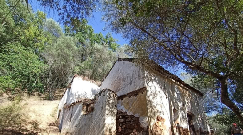 Málaga - Benarrabá - 20000m2