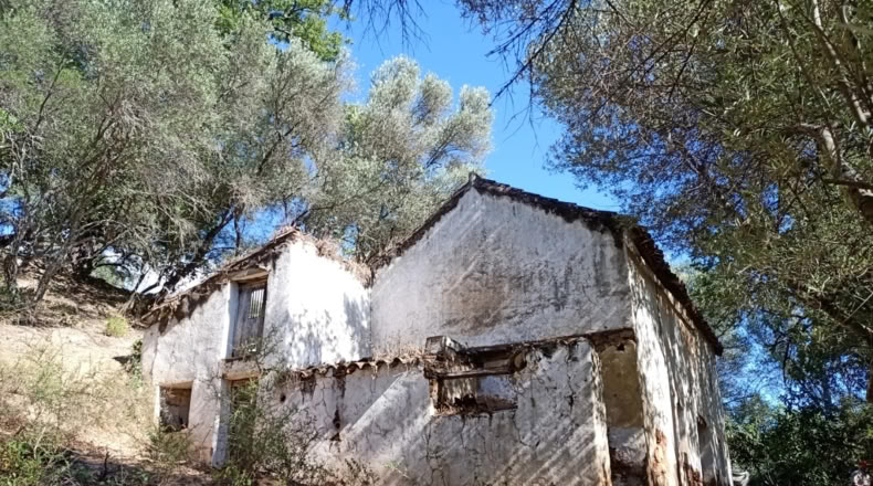 Málaga - Benarrabá - 20000m2