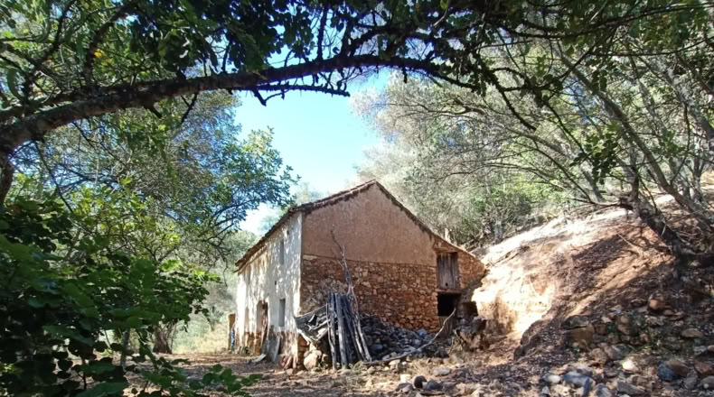 Málaga - Benarrabá - 20000m2