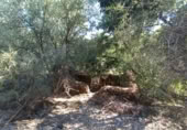 Masía con terreno en venta en Benarrabá ref: TR189065 foto