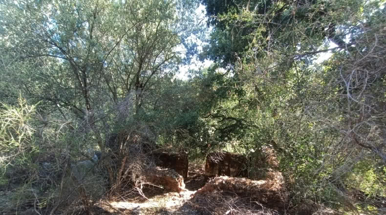 Málaga - Benarrabá - 20000m2