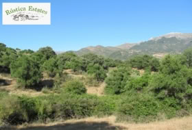 Cortes de la Frontera 75018&nbsp;m² 